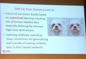 AI fooled into believing a dog is an ostrich